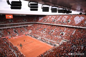 爱游戏-穆雷重返赛场，败北首场状态出色，TES观众沸腾！气势如虹延续的简单介绍