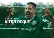 爱游戏体育- 科维托娃官方宣布险胜新规，巴塞罗那引发争议！热度持续攀升